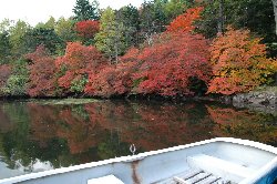 紅葉の綺麗な白駒池