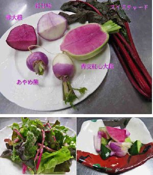 八ヶ岳の彩り野菜