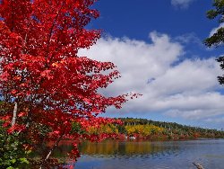 紅葉真っ盛りの白駒池