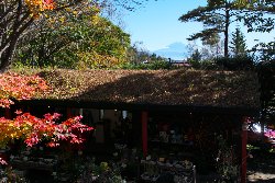 テラスから見える富士山