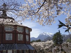 甲斐駒ヶ岳をバックに清春芸術村の桜